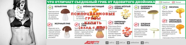 мяу мяу мука Вяземский
