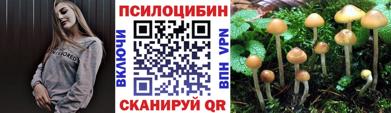 Псилоцибиновые грибы Magic Shrooms  Элиста 